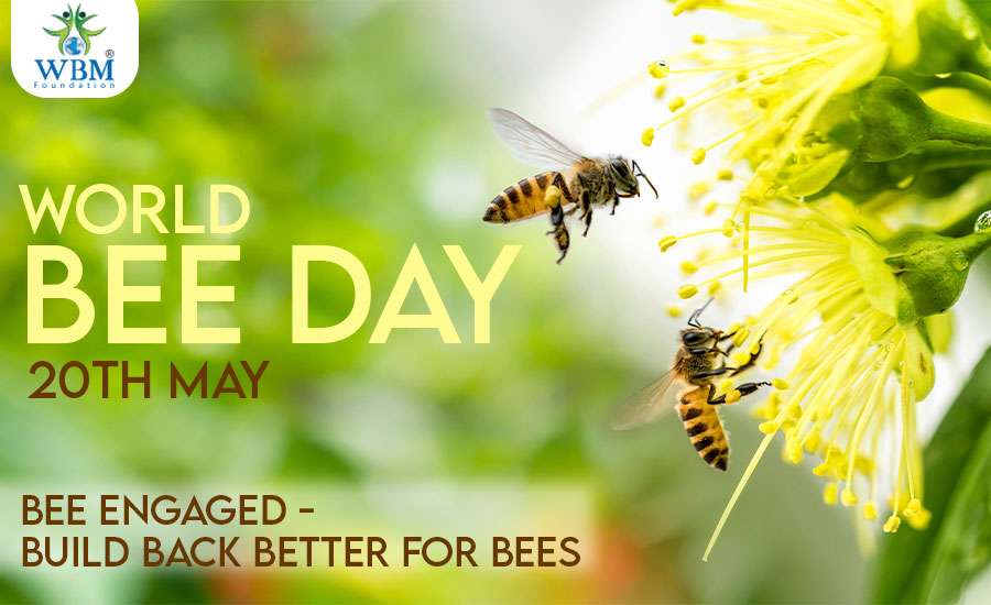 World Bee Day- 20th May 2022