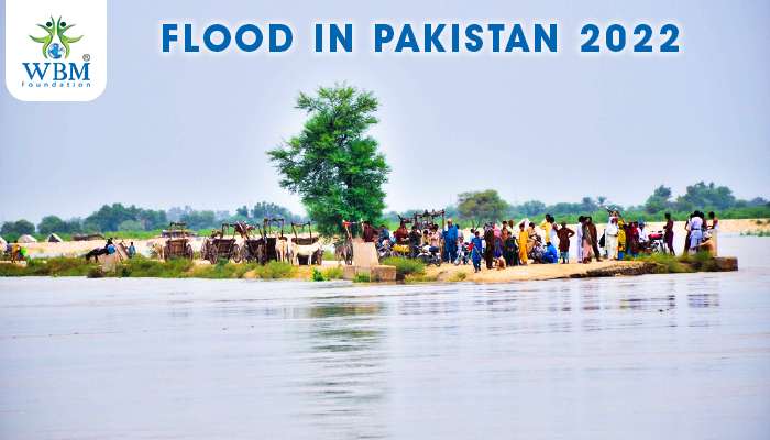 essay about flood in pakistan 2022